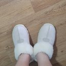 다사랑노래연습장 | Adieu 2023! 성큼 다가온 새해맞이 전 11월 말&amp;12월 정산❄️