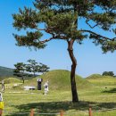 최고자원 이미지