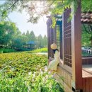 강릉경찰서 | 여자 혼자 국내여행 추천 5곳｜전주·경주·여수·제주·강릉,알아두면 좋을 전화번호 총정리