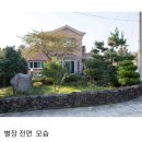 제주곶자왈별장 이미지