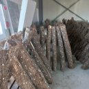 마루농장 이미지