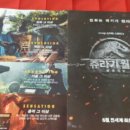 티렉스브로