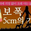 보폭 - 10224 | 보폭