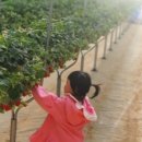 삼오농장 이미지