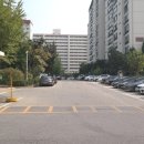 강남-175 이미지