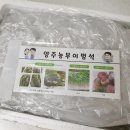 즐거운 농장 | 신선도 보장 겨울 제철 농산물 양주 농부의 꿈 클로렐라 쌈채소 20종 후기