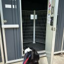 덕소동물병원 | [남양주_필드포독] 프라이빗한 강아지 실내운동장 대관 후기🐶