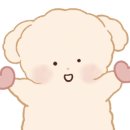 카페101 이미지
