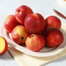 인정푸드 쇼핑하우