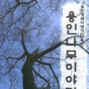 용인나무이야기 이미지