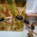 창녕생태곤충원 이미지