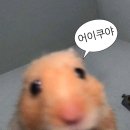 밥묵고돈내고 이미지