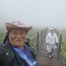 흰그늘용담(이명 : 흰그늘룡담. 그늘룡담. 산구슬붕이. 심산구슬봉이. 좀구실봉이. 흰구슬봉이. 흰구실봉이. 그늘과남풀﻿) 이미지