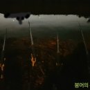일암천 Daum카페