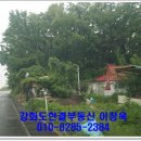 양사면-4 이미지