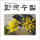 한국수필 2024년 03월호(통권 349호) 이미지