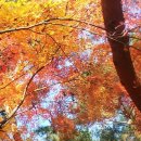 장충파출소 이미지