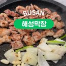 해성 | 부산 해성막창 후기, 대창 막창 곱창전골 맛집