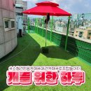 개를 위한 하루 이미지