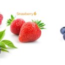 일산비타민의원 이미지