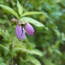 E & S 행정사 사무소 이미지