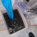 진솔케어 이미지