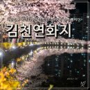 김천시문화예술회관 | 김천연화지 - 대한민국 야경100선에 빛나는 연화지 벚꽃축제와 주차정보