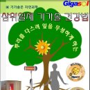 기가솔건강방 이미지