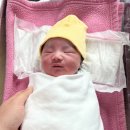 모태안여성병원 이미지