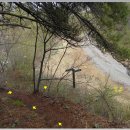 군장목장 이미지