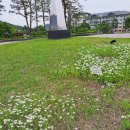 평화이용실 네이버블로그