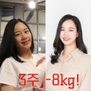 점검) Chapter2 해독알리멘토 효과 :: 수원다이어트...다이어트 산후다이어트 단기다이어트 다이어트후기