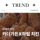 진솔아이엔씨 | 카더가든 X 하림 맥시칸 치킨 PPL