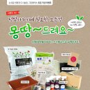 풀로그린 이미지
