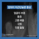 우리동물메디컬센터 이미지