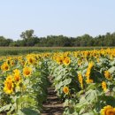 주식회사 케이티 이미지