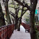 설천면120 이미지