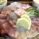 판장횟집 | [건대입구역] 건대횟집 맛집 TOP 1, 회판장 솔직 후기 주관적인 리뷰 파라다이스