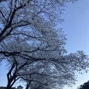 횡천루 | "시골 간이역의 낭만과 맑은 계곡의 힐링! 작년 봄 청량함에 반하고 온 하동 횡천리 숨은 명소 방문기"