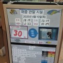 37개월 아기와 미야코지마 - 2일차(비오는날 갈만한 곳)