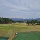 (주)플레이원 | 경주cc 3인 플레이 야간 벚꽃 라운딩 후기 | 벚꽃 골프장 추천