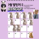 유핏 | 왕초보토익 유핏토익 한달후기