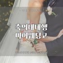 수ing | 본식 축의대 대행 업체 마이웨딩고 26년 하반기 계약만족후기 (짝꿍할인~ing)
