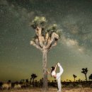 원트리투어 이미지