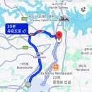 KINGs DOG | 호주 워홀 시드니 임시 숙소 구하기 가성비 숙소 추천 (Sydney hostel, 직접 찾아봤습니다)