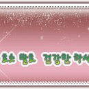 도서출판 백초