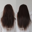 아모스 리뉴 카멜리아 샴푸 두피팩 앰플 두피 안티에이징 후기
