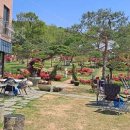 파인트리하우스 이미지