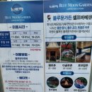 블루문(Blue Moon) | 별내 블루문가든 캠핑식당 솔직 후기 – 도심 속 감성 캠핑의 완성