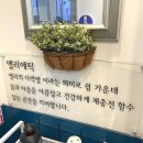 엘리에틱네일